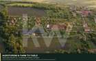 Teren intravilan 7.979 mp | ideal glamping, pensiune sau investiție | Mureș - 3