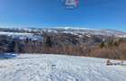 Oportunitate! Teren 10.669 mp în Moieciu de Jos –Natură Pură, Potential Turistic - 20