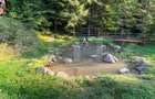 Afacere la cheie pensiune complet utilata și mobilata,energie verde, natura pura - 5
