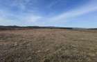 Teren de vanzare in Harman 4,4 Hectare - 9
