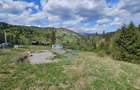 Teren 4048mp Campulung Moldovenesc, Strada Izvorul Alb, Suceava - 10