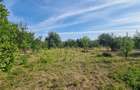 Teren 2000 mp de vânzare – Comana, deschidere la lac, aproape de Parcu - 10