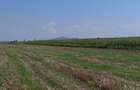 Teren agricol sau zona agrement HALCHIU - langa Lacuri si Balastiera - 4