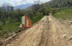 Terenuri Bran - Predelut  Priveliște către Bucegi și Postăvaru - 8