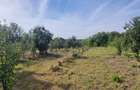 Teren 2000 mp de vânzare – Comana, deschidere la lac, aproape de Parcu - 7