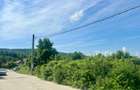 Teren intravilan 2778 mp Bucium Iași, Dublă deschidere 45 m la asfalt POT 15% - 5