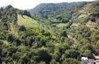 Teren in Scheii Brasovului inconjurat de natura - 1