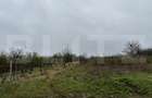 Teren intravilan 2000 mp, front 16,7 ml, vizibilitate la DN, Carcea - 1