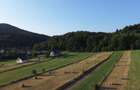 Teren 5886 mp In Bucovina - Bucsoaia! De Vanzare! 0727817187 - 1