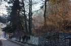 Teren 1925 mp, POT 40%, CUT 1,5-1,8, LANGA TELECABINA SINAIA - 9