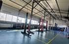 Vand  proprietate ideala pt logistica,, spatii depozitare, productie - 14