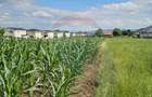Casă / Vilă, teren 1700mp,  în Lisaura-Ipotești, Suceava - 37