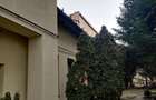 Vilă interbelică și teren 684 mp zona Viilor/Parcul Carol - 15