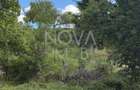 Teren intravilan  - Sat. Rod - Tilisca - 3