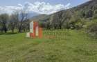 Terenuri Bran - Predelut  Priveliște către Bucegi și Postăvaru - 1