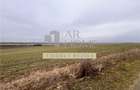 Teren intravilan 4792 mp,  Bucov - 1