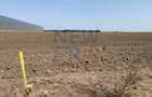 Teren industrial de vanzare 13.999 mp zona Eli Park Buftea - 5