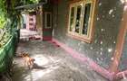 Casa Brailita-Vidin, 4 camere, Teren 573 mp - 13