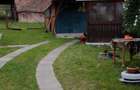 Casa 3 camere cu teren 1500mp spre vanzare in Velt -Sibiu - 11
