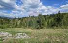 Teren 4048mp Campulung Moldovenesc, Strada Izvorul Alb, Suceava - 7