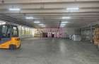 Hale industriale cu parcari multiple Bragadiru Sos Alexandriei stradal - 24
