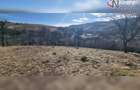 Teren de exceptie 3,1 ha intravilan | Panorama, utilitati, acces dublu | Sard - 9
