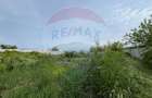 Teren intravilan de vanzare 2,464 mp, Gurbanesti - 6