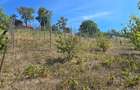 Teren intravilan in Manolesti Deal - 1