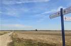 Oportunitate Investitie - Dragomiresti Vale - Zurbaua - A1 - A0 - sos Centura - 5