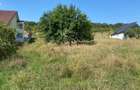 Teren intravilan 1300 mp-Viile cu Pomi-Unirea-Exclusiv - 6