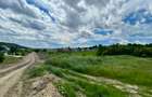 Teren 1.3 ha Aroneanu sat Dorobanț, Iași, pret 38 EUR/mp, Parțial Intravilan - 5