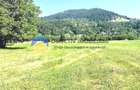 TEREN intravilan 3600 mp  PÂNGǍRAȚI - PRELUCA - 5