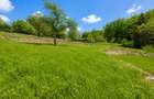 Teren intravilan de vanzare, 3900 mp , front 36 ml,  Faget - 2