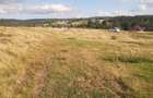 Teren, 1000 mp, intravilan, utilitati, zona Beliș - 2