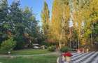 Vila individuala, teren 3000 mp, Iancu Nicolae - 32