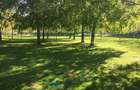 Garsonieră anul 1980 Parc IOR Park Lake 31 mp - 14
