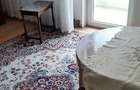 Apartament 2 camere etaj 2, pozitie exceptionala vis-a-vis de parcul Avram Iancu - 8