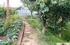 Vanzare casa in Sona - 10
