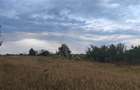 TEREN INTRAVILAN//PAULESTI//2930MP - 1