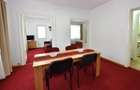 Apartament 3 camere Doamna Ghica - 3