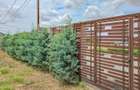 Teren 650 mp în Cumpăna | Utilități la teren | Stradă asfaltată. - 10