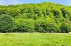 TEREN POTENTIAL TURISTIC - Rasnov - Cheisoara - 4