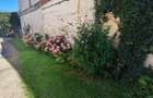 Casă  cu 465 mp teren, 4 camere , P+E, în zona Bulgaria - 12