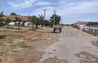 Ferma Zootehnică– Satchinez,  | 9,5 ha teren,vanzare sau schimb pentru jumatate - 3