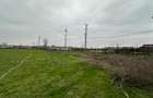 Teren intravilan Mogosesti | Giurgiu | 370.000mp | Adunatii Copaceni - 8