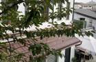 Apartament 4 camere Calea Calarasi / Hala Traian in vila - 11