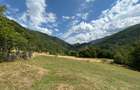 Teren Montan 6.572 mp Jieț (Petrila , Județul Hunedoara) - 10