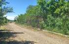Săbăreni, lot de casă 1050 mp, curent lângă teren - 4