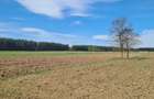 TEREN AGRICOL EXTRAVILAN - RECI - COVASNA - 4