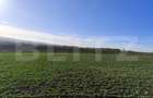 Teren 1.5 ha, 32 m deschidere, zona Vorovesti- Ferma Liliac - 1